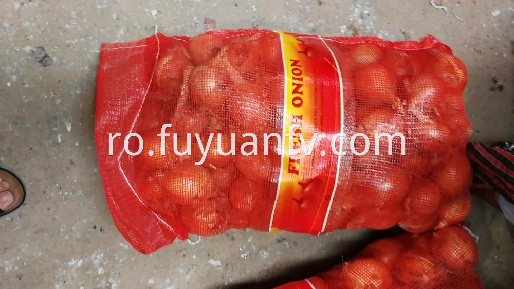 Fresh Gansu Onion